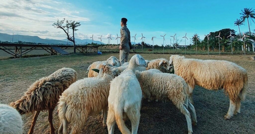Dong Cuu Suoi Nghe1