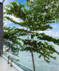 Villa 11 Trần Phú